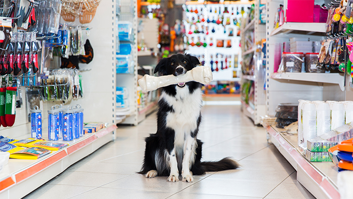 Pet Supplies Store